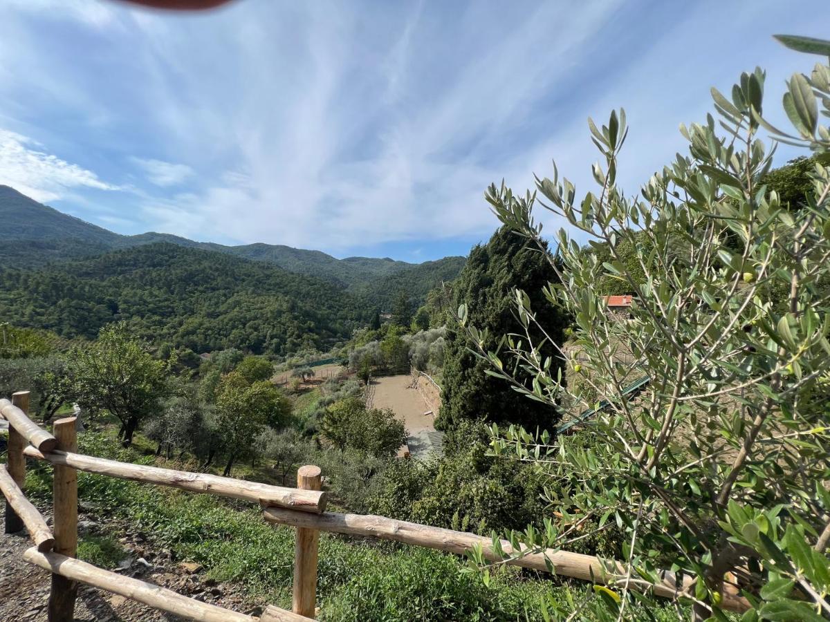 Agriturismo Torsivi Castiglione Chiavarese 外观 照片