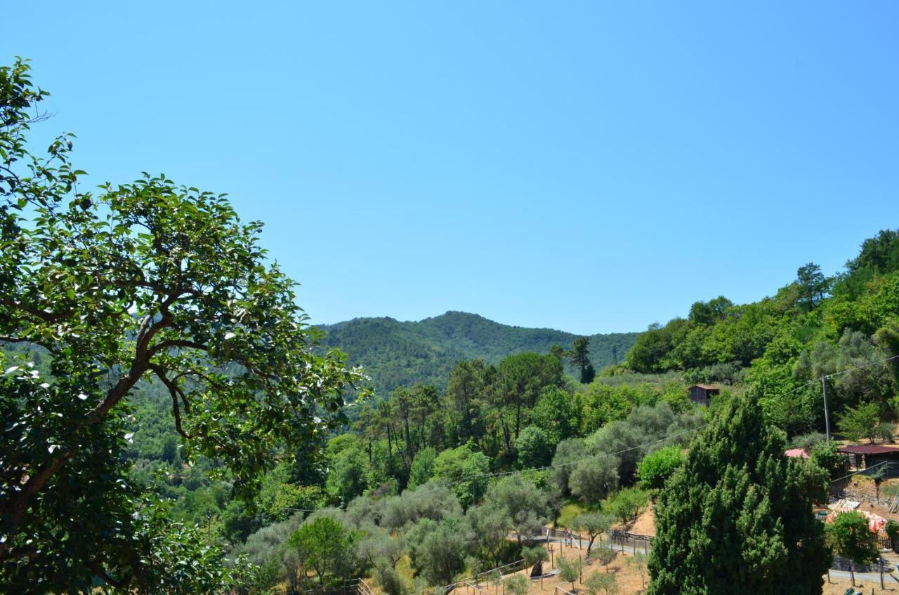 Agriturismo Torsivi Castiglione Chiavarese 外观 照片