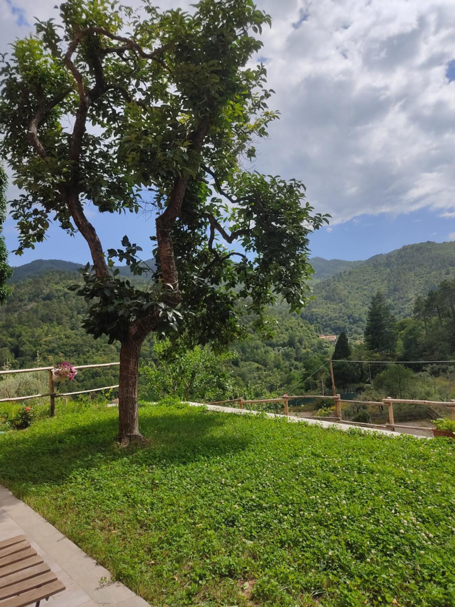 Agriturismo Torsivi Castiglione Chiavarese 外观 照片